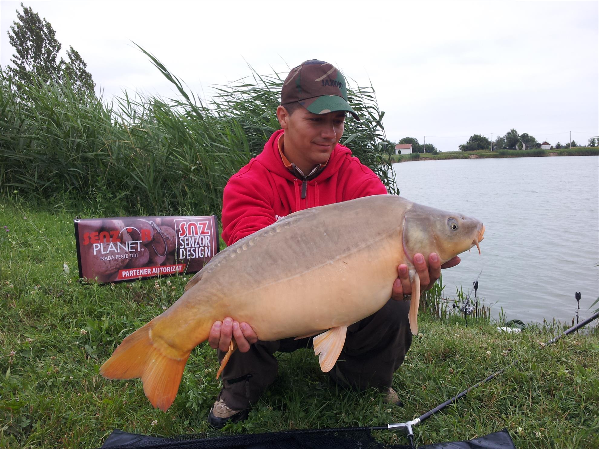 Silver  Ungaria 25 - 26 iul. - 20130626120027.jpg